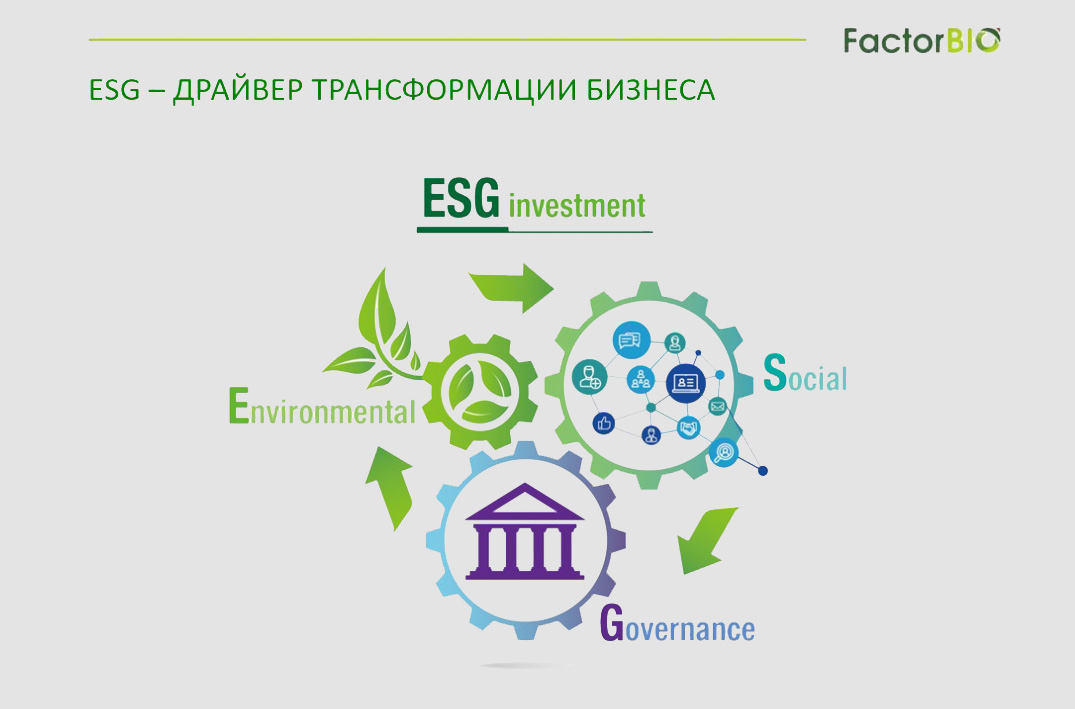 ESG принципы ООН